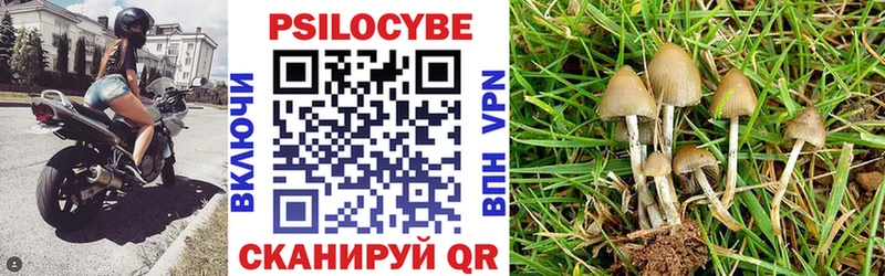 Галлюциногенные грибы мицелий  Артёмовск 